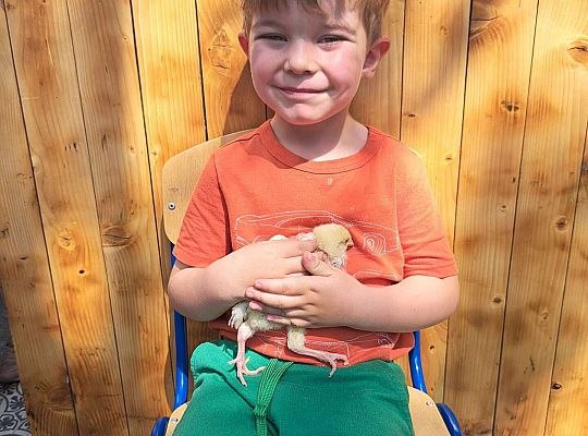 Gr.I I Gr.II Poznajemy ptaki hodowlane