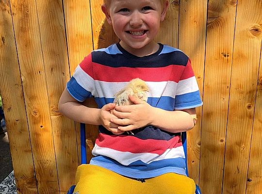 Gr.I I Gr.II Poznajemy ptaki hodowlane