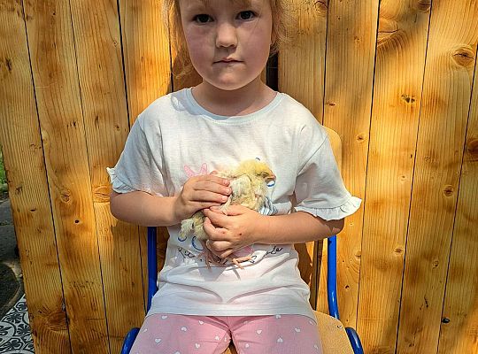 Gr.I I Gr.II Poznajemy ptaki hodowlane