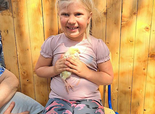 Gr.I I Gr.II Poznajemy ptaki hodowlane