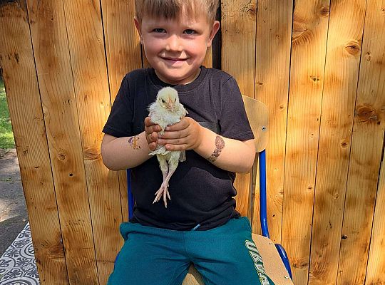 Gr.I I Gr.II Poznajemy ptaki hodowlane