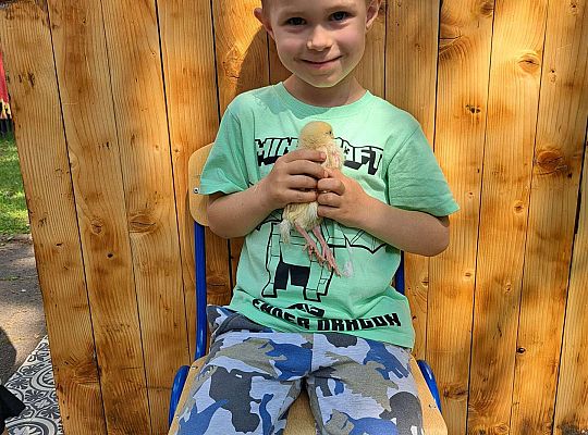 Gr.I I Gr.II Poznajemy ptaki hodowlane