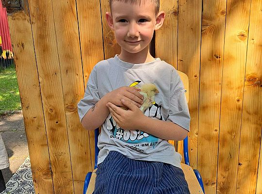 Gr.I I Gr.II Poznajemy ptaki hodowlane