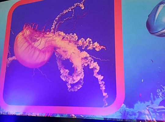 Gr. III I IV Błękitek- projekt edukacyjny- ekologiczny