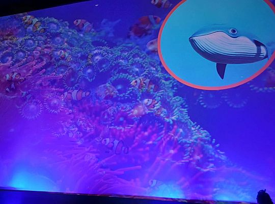 Gr. III I IV Błękitek- projekt edukacyjny- ekologiczny