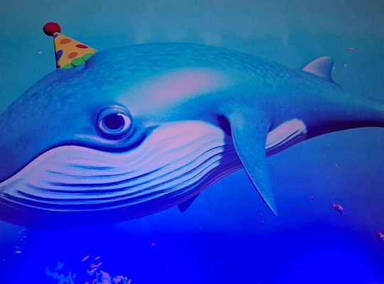 Gr. III I IV Błękitek- projekt edukacyjny- ekologiczny