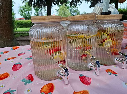 " Zdrowy i sportowy zawrót głowy " - piknik rodzinny