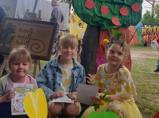 " Zdrowy i sportowy zawrót głowy " - piknik rodzinny