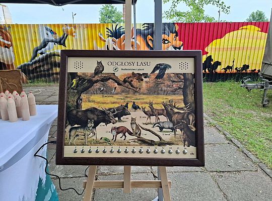 " Zdrowy i sportowy zawrót głowy " - piknik rodzinny