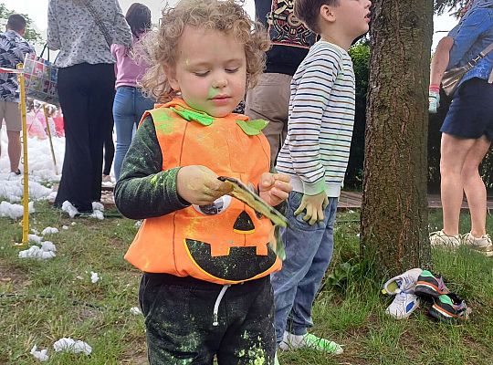 " Zdrowy i sportowy zawrót głowy " - piknik rodzinny