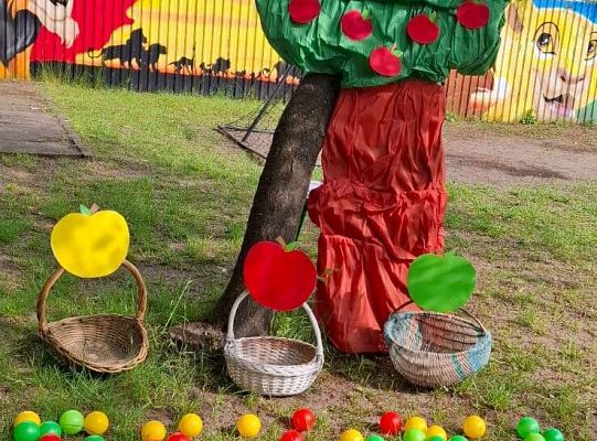 " Zdrowy i sportowy zawrót głowy " - piknik rodzinny