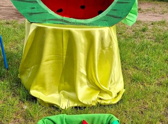 " Zdrowy i sportowy zawrót głowy " - piknik rodzinny