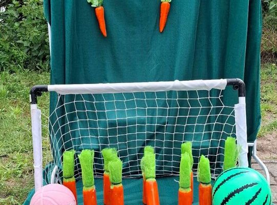 " Zdrowy i sportowy zawrót głowy " - piknik rodzinny