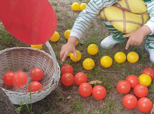 " Zdrowy i sportowy zawrót głowy " - piknik rodzinny