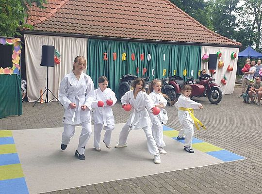 " Zdrowy i sportowy zawrót głowy " - piknik rodzinny