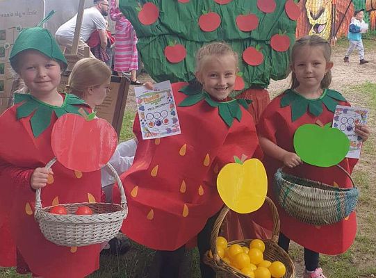 " Zdrowy i sportowy zawrót głowy " - piknik rodzinny