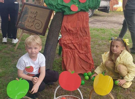 " Zdrowy i sportowy zawrót głowy " - piknik rodzinny