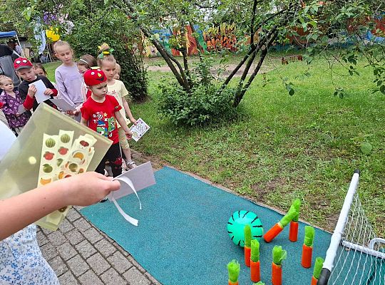 " Zdrowy i sportowy zawrót głowy " - piknik rodzinny