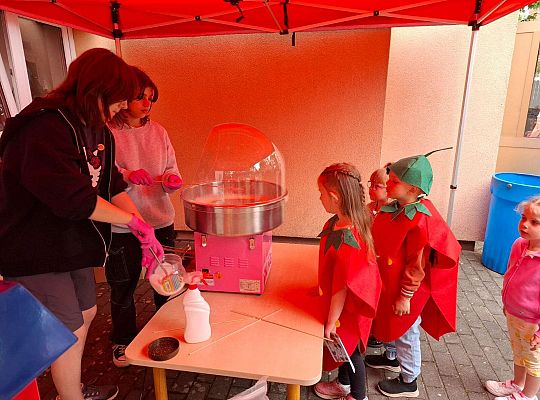 " Zdrowy i sportowy zawrót głowy " - piknik rodzinny