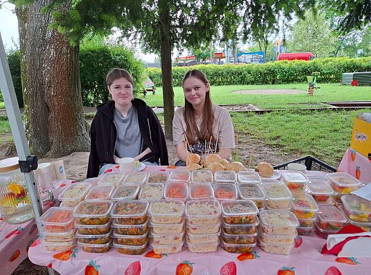 " Zdrowy i sportowy zawrót głowy " - piknik rodzinny