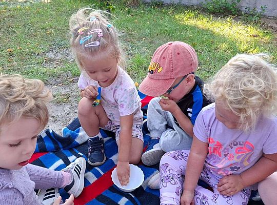 Gr. I Urodzinki Marianki