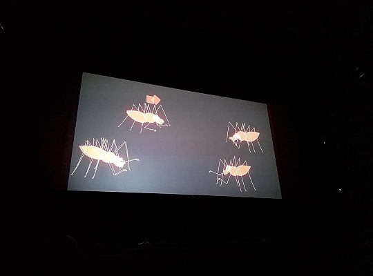 Gr.III i Gr.IV Wycieczka do kina " Niesamowite przygody Skarpetek "