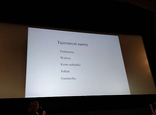 Gr.III i Gr.IV Wycieczka do kina " Niesamowite przygody Skarpetek "