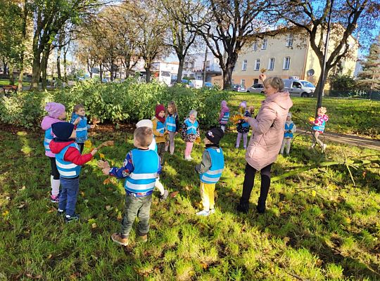 Gr.II Wycieczka do parku
