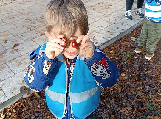 Gr.II Wycieczka do parku