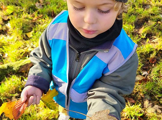 Gr.II Wycieczka do parku