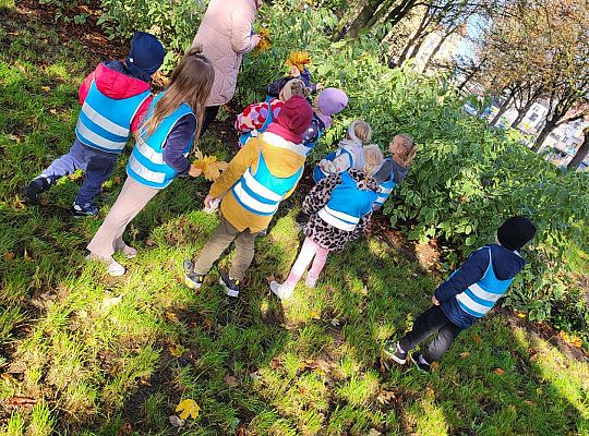 Gr.II Wycieczka do parku