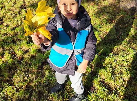 Gr.II Wycieczka do parku