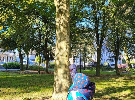 Gr.II Wycieczka do parku