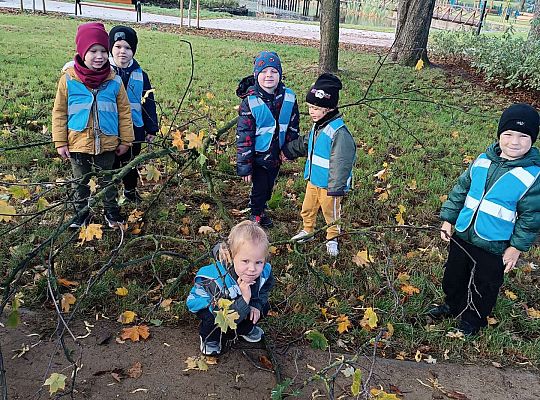 Gr.II Wycieczka do parku