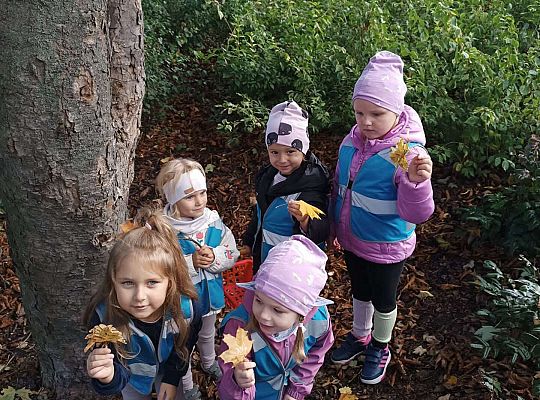 Gr.II Wycieczka do parku