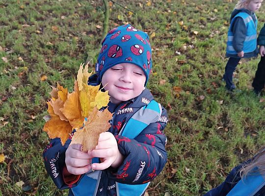 Gr.II Wycieczka do parku