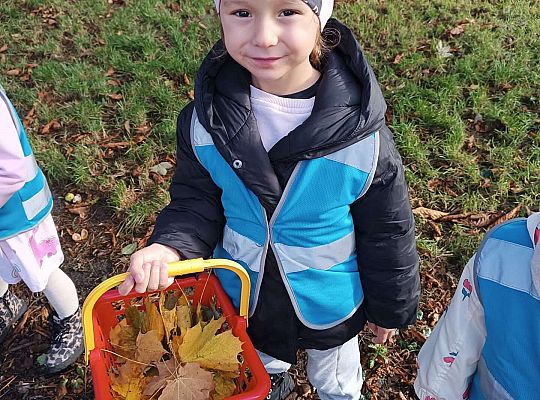 Gr.II Wycieczka do parku