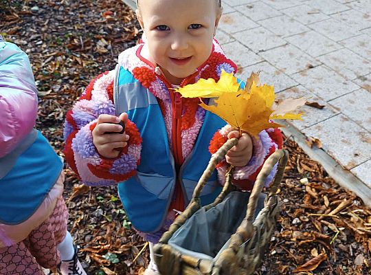 Gr.II Wycieczka do parku