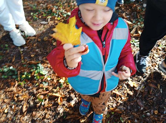 Gr.II Wycieczka do parku