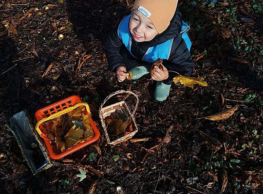 Gr.II Wycieczka do parku