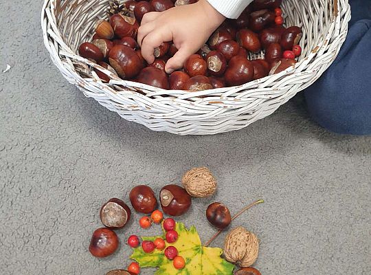 Gr.II Wycieczka do parku