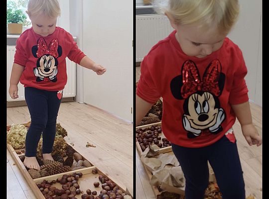 Gr. I Jesienna ścieżka sensoryczna