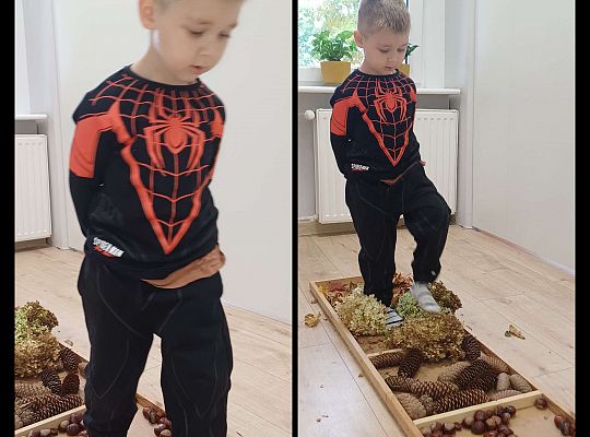 Gr. I Jesienna ścieżka sensoryczna