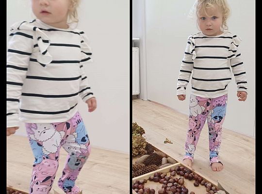 Gr. I Jesienna ścieżka sensoryczna