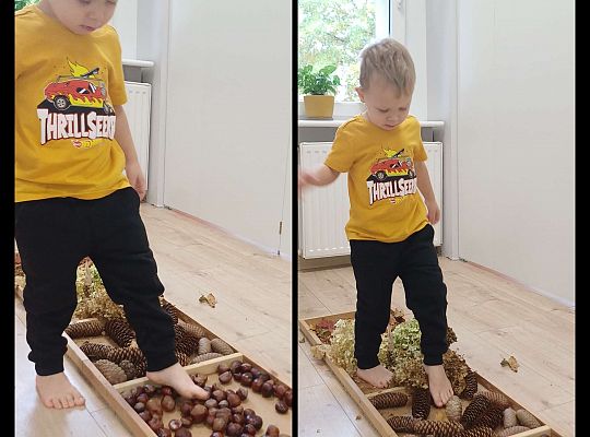 Gr. I Jesienna ścieżka sensoryczna