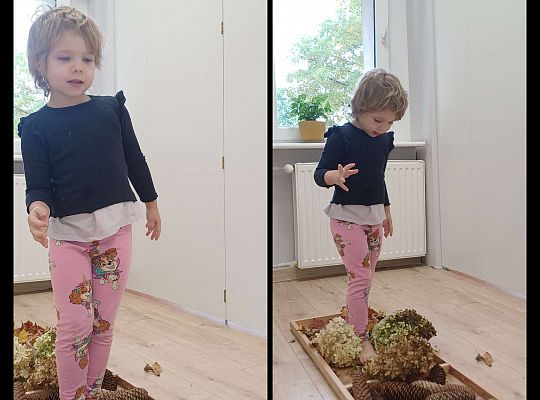 Gr. I Jesienna ścieżka sensoryczna