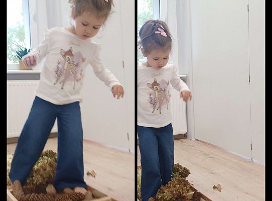 Gr. I Jesienna ścieżka sensoryczna