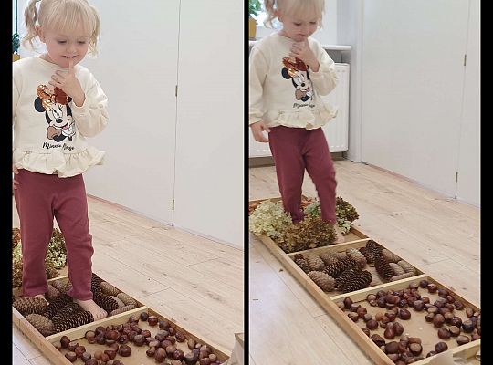 Gr. I Jesienna ścieżka sensoryczna