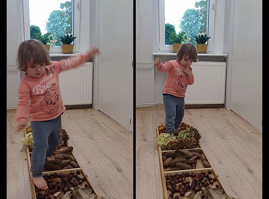 Gr. I Jesienna ścieżka sensoryczna