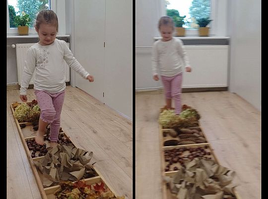 Gr. I Jesienna ścieżka sensoryczna